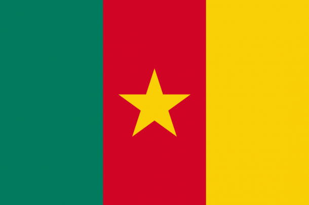 喀麦隆国旗（14）