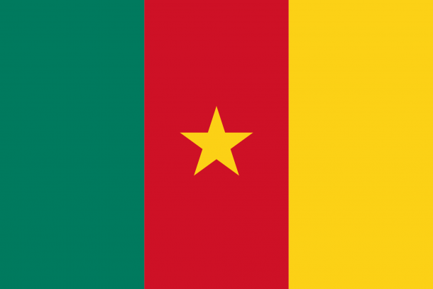 喀麦隆国旗（16）