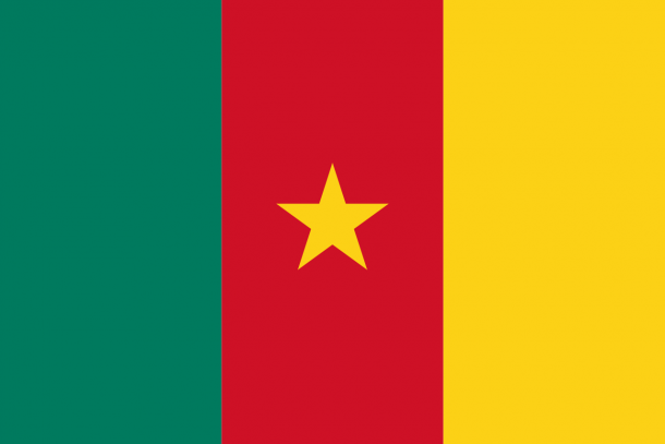 喀麦隆国旗（18）