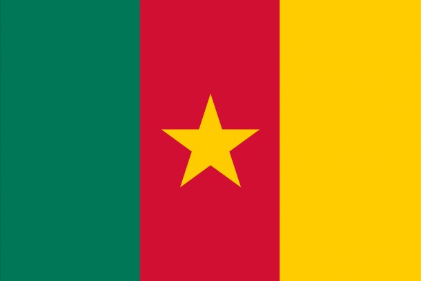 喀麦隆国旗（2）