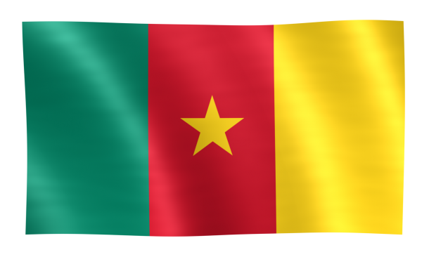 喀麦隆国旗（23）
