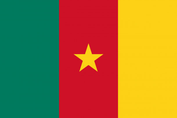 喀麦隆国旗（24）