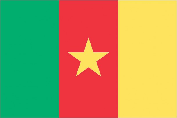 喀麦隆国旗（3）
