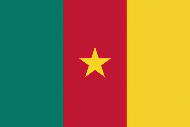 喀麦隆国旗（4）
