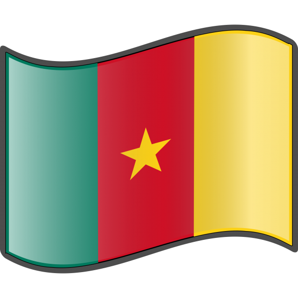 喀麦隆国旗（4）