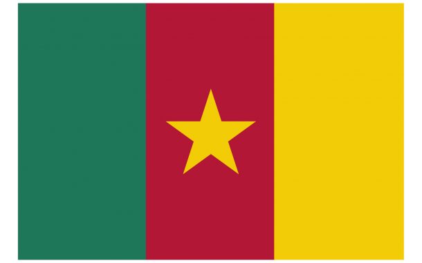 喀麦隆国旗（6）