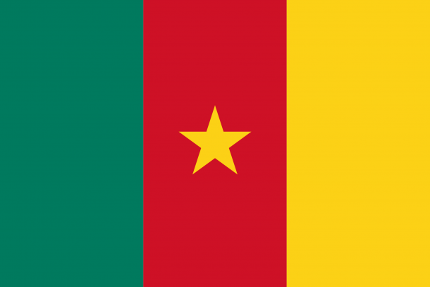 喀麦隆国旗（9）