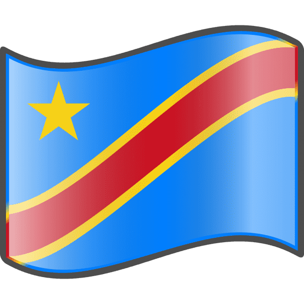 刚果民主共和国的国旗国旗(7)