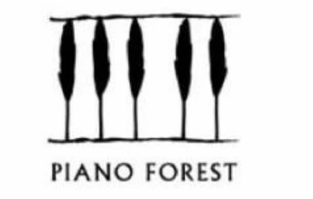 31个公司标识中的隐藏信息