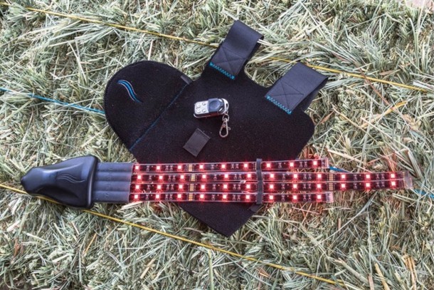 尾灯骑手安全计划-马安全3