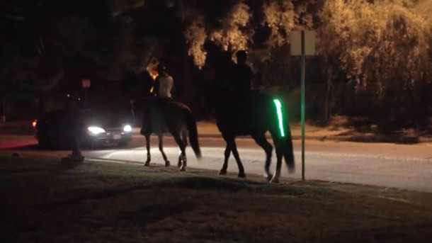 尾灯骑手安全计划-马的安全5