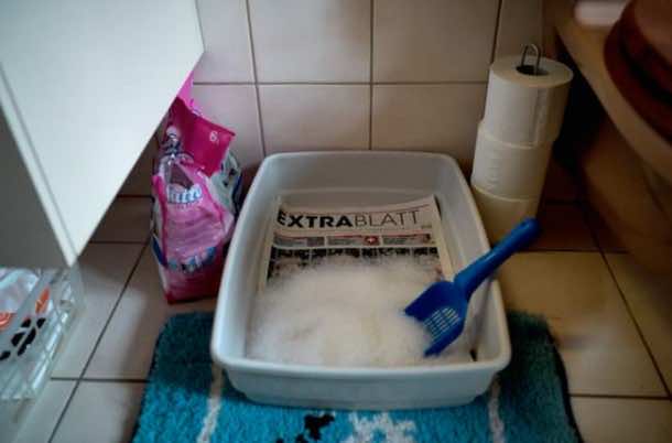 对抗寒冷的在一个聪明的和有效的方式13