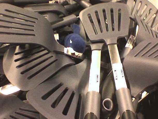 对抗寒冷的在一个聪明的和有效的方式16