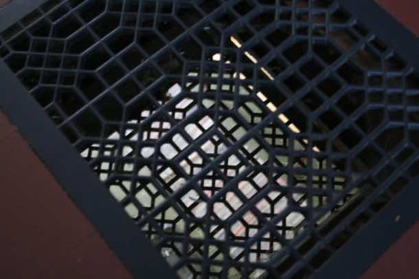 对抗寒冷的在一个聪明的和有效的方式24