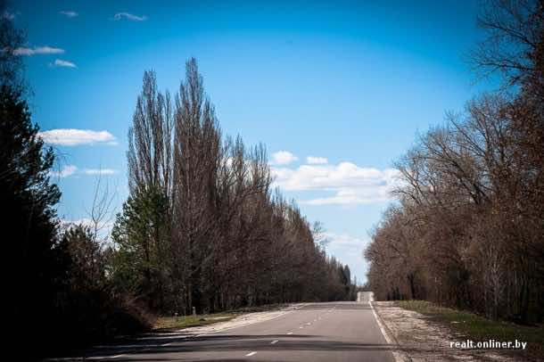 切尔诺贝利现在看起来如何5