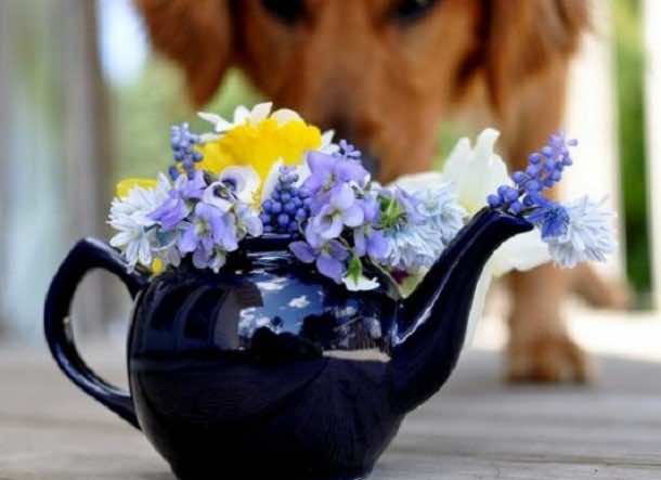 10 Ways You Can Use Kitchen Utensils For Decor 10