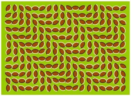 20个图像将使你的大脑测试2