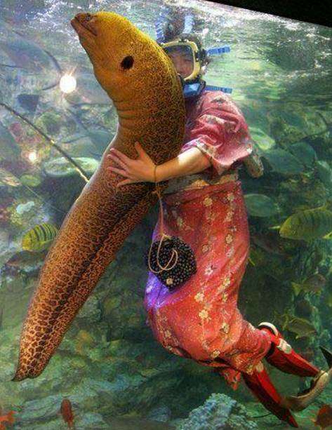 来自日本的30件最奇怪的事情