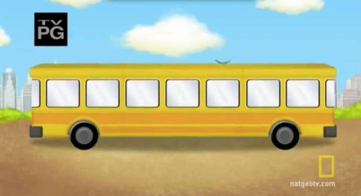 你能告诉公共汽车的走向吗