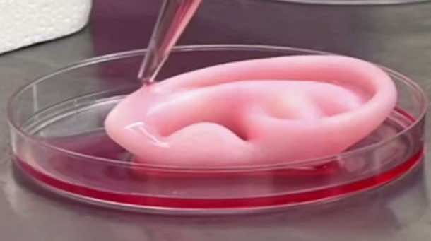 最新的3D生物打印机可以使“活着”的身体部位4