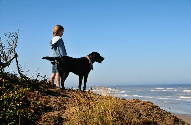 狗和某些灵长类动物可以看到磁场