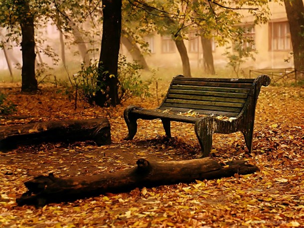 秋壁纸1