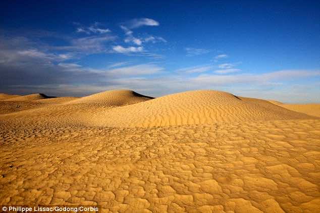 30 million dollar farm in Sahara desert2