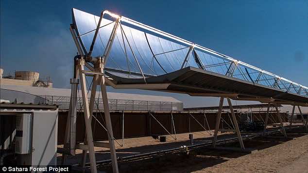 30 million dollar farm in Sahara desert4