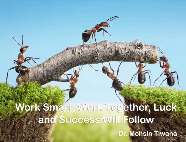 鼓舞人心的报价(1)