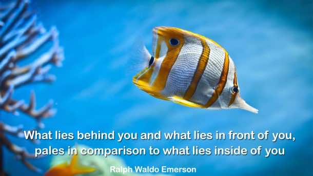 鼓舞人心的名言(25)