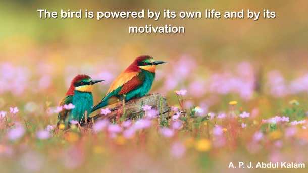 鼓舞人心的名言(26)