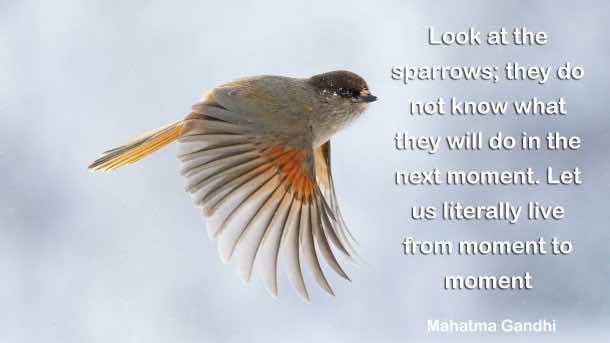 鼓舞人心的名言(42)