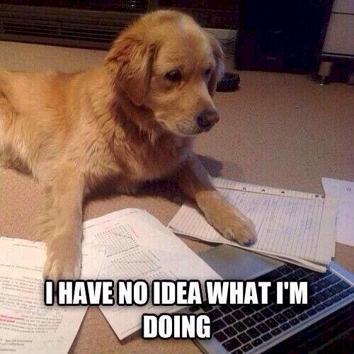 工程专业的学生16