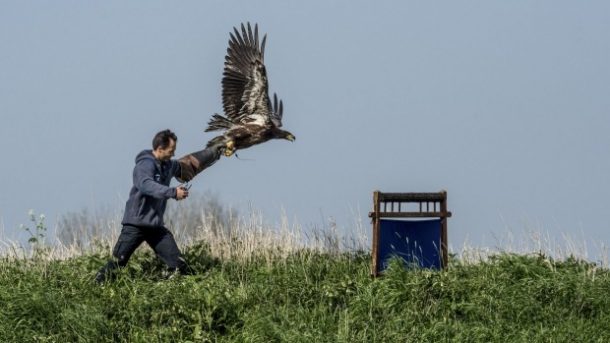 无人机战斗鹰在Midflight_image 1中击落无人机1