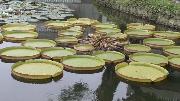 5个基本的数学问题如此严重，您可能会弄错它们_image 5