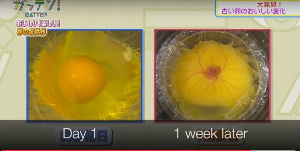 没有蛋壳的鸡肉