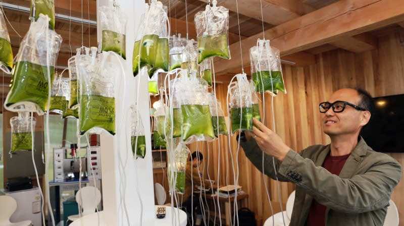 用于节省环境的公共厕所