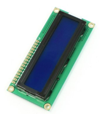 图片致谢:亚马逊