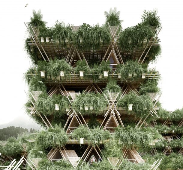 As more layers of bamboo are added, a treehouse would form.