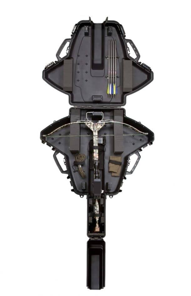 图片致谢:亚马逊