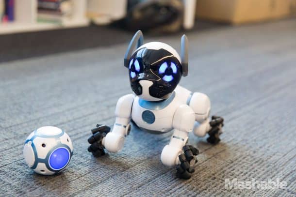 CHiP可以找到它的球并玩接球游戏。学分:Mashable