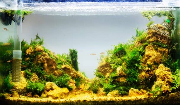 图片学分：居民