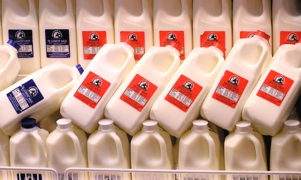 牛奶和轻曝光1020x610