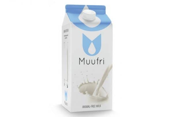 图片学分：镜子