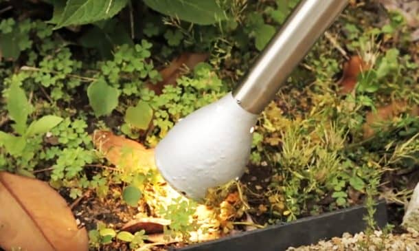 学分：全球邻居