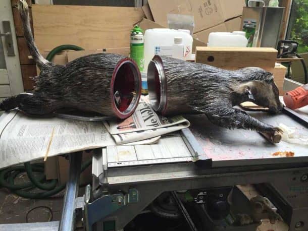 这个项目使您的死宠物将它们变成无人机_Image 12