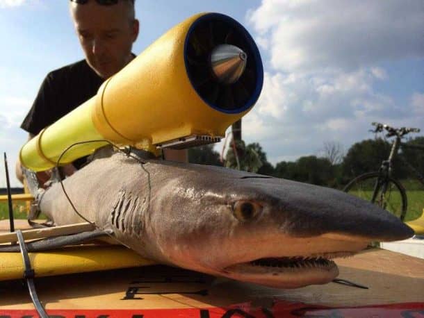 这个项目使您的死宠物将它们变成无人机_Image 9