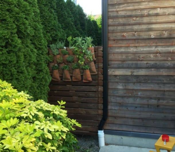 图片来源:Reddit / sightfire