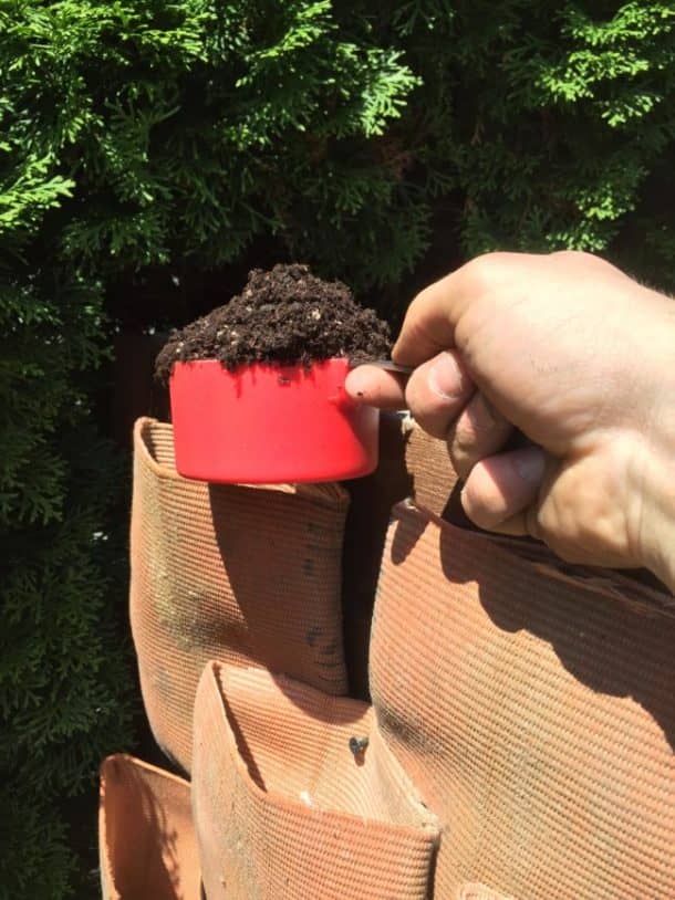 图片来源:Reddit / sightfire