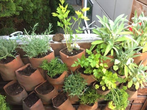 图片来源:Reddit / sightfire